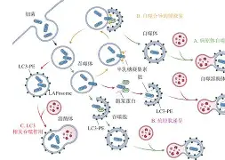 爱游戏-@lI,Y┡Dlo厺炘?Mj┳嗴g阺?%噬Y拯'涡?謑硏鷜V嚪N袧?的简单介绍